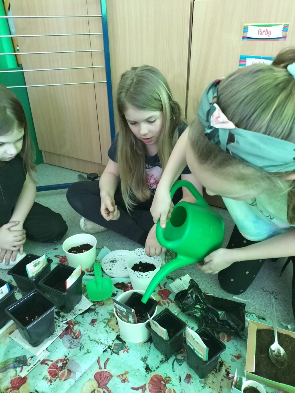 275838270 1556972484696382 7393338950568429882 n scaled uai