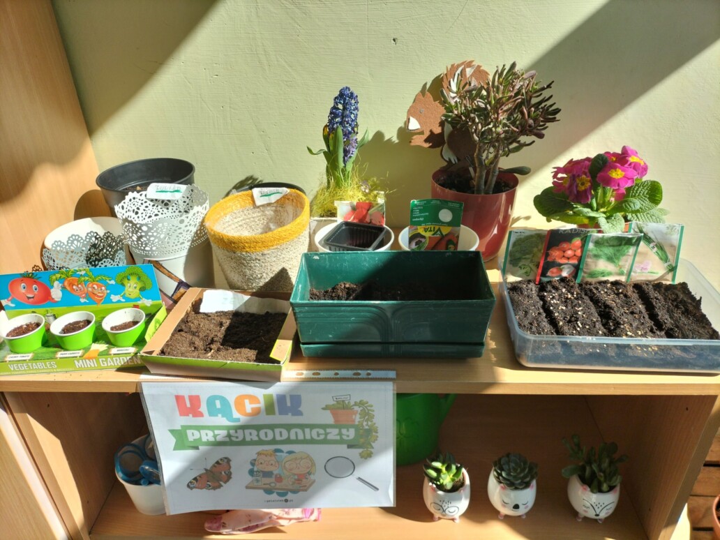 275913729 2174925266003141 5490036170046143207 n scaled uai