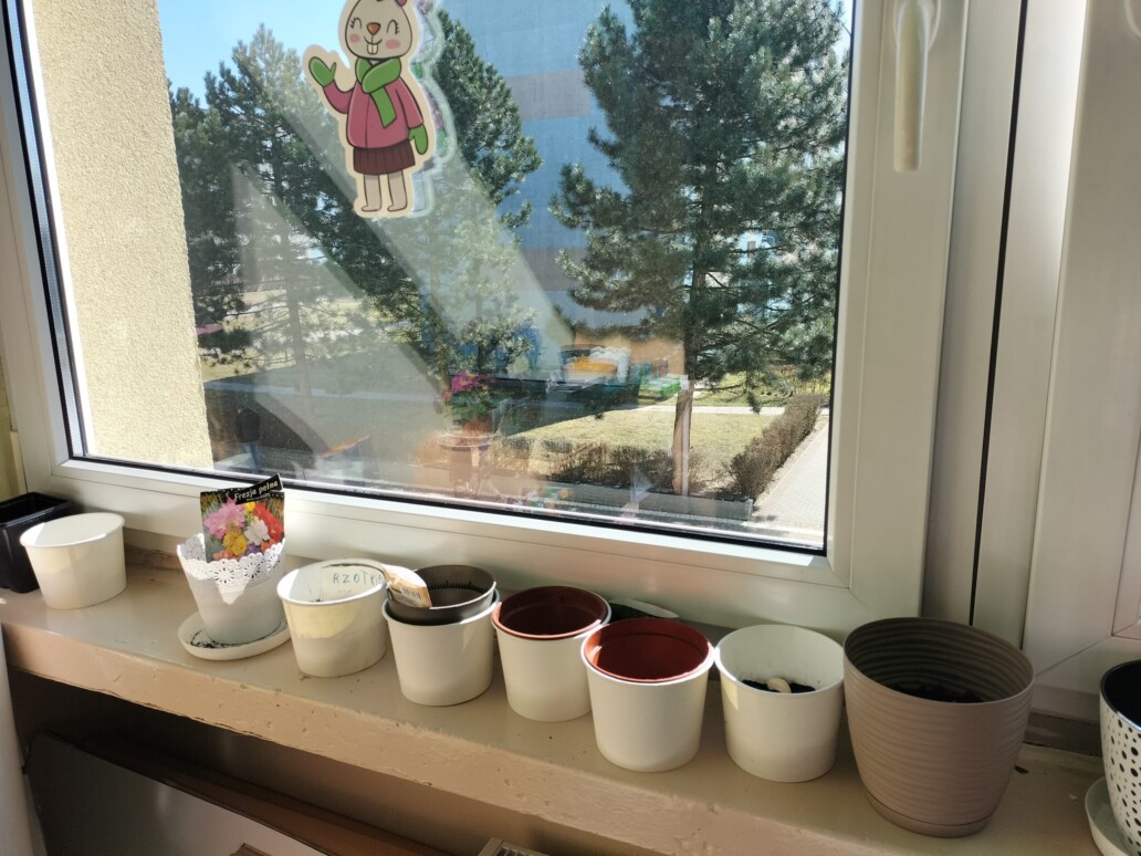 275940783 923577684988249 4149754198685927859 n scaled uai