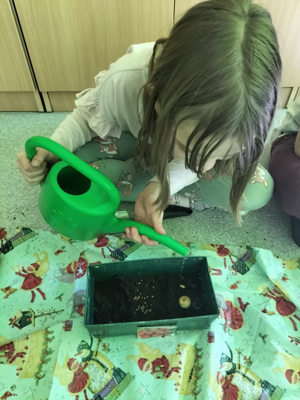 275974684 2531183820350561 9084846014204599854 n scaled uai