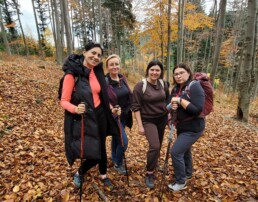 3c894c80-f3c1-4873-814b-08e16830174b 3 3c894c80 f3c1 4873 814b 08e16830174b uai