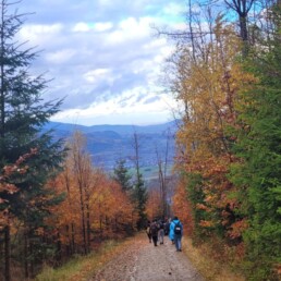 e1e93907 9021 4f7d b2ec 20e57b50f049 uai