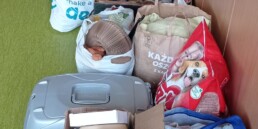 41dd85aa d2ec 45d0 903a e58f536d83d1 uai