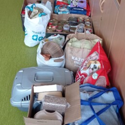 41dd85aa d2ec 45d0 903a e58f536d83d1 uai