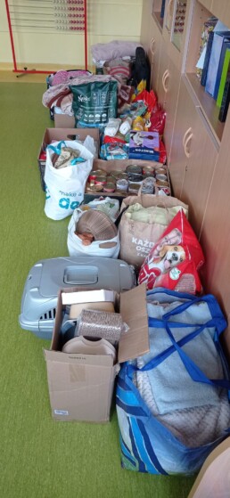 41dd85aa d2ec 45d0 903a e58f536d83d1 uai