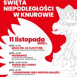 Dzien Niepodleglosci scaled uai