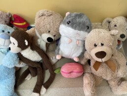 IMG_6129(1) 35 IMG 61291 scaled uai