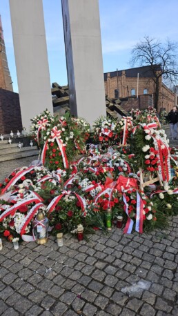 d8298193 9fcd 4e08 9991 1611dea51608 uai