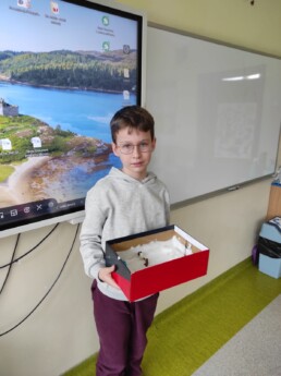 GNKZ4956 5 GNKZ4956 uai