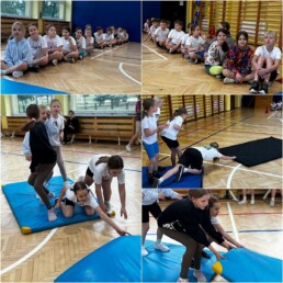 JZLF1343 5 JZLF1343 uai