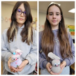 STUS2883 16 STUS2883 uai