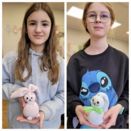 VJAR5515 17 VJAR5515 uai