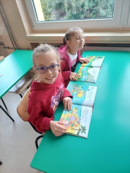 PLLI6707 20 PLLI6707 uai