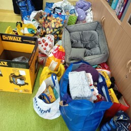 Pomagamy bezdomnym zwierzętom! 2 CEET8074 uai