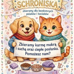 Uwaga, uwaga! Trwa akcja - Jedzonko dla bezdomniaka! 2 IMG 8673 uai
