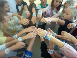 IMG 8752 uai